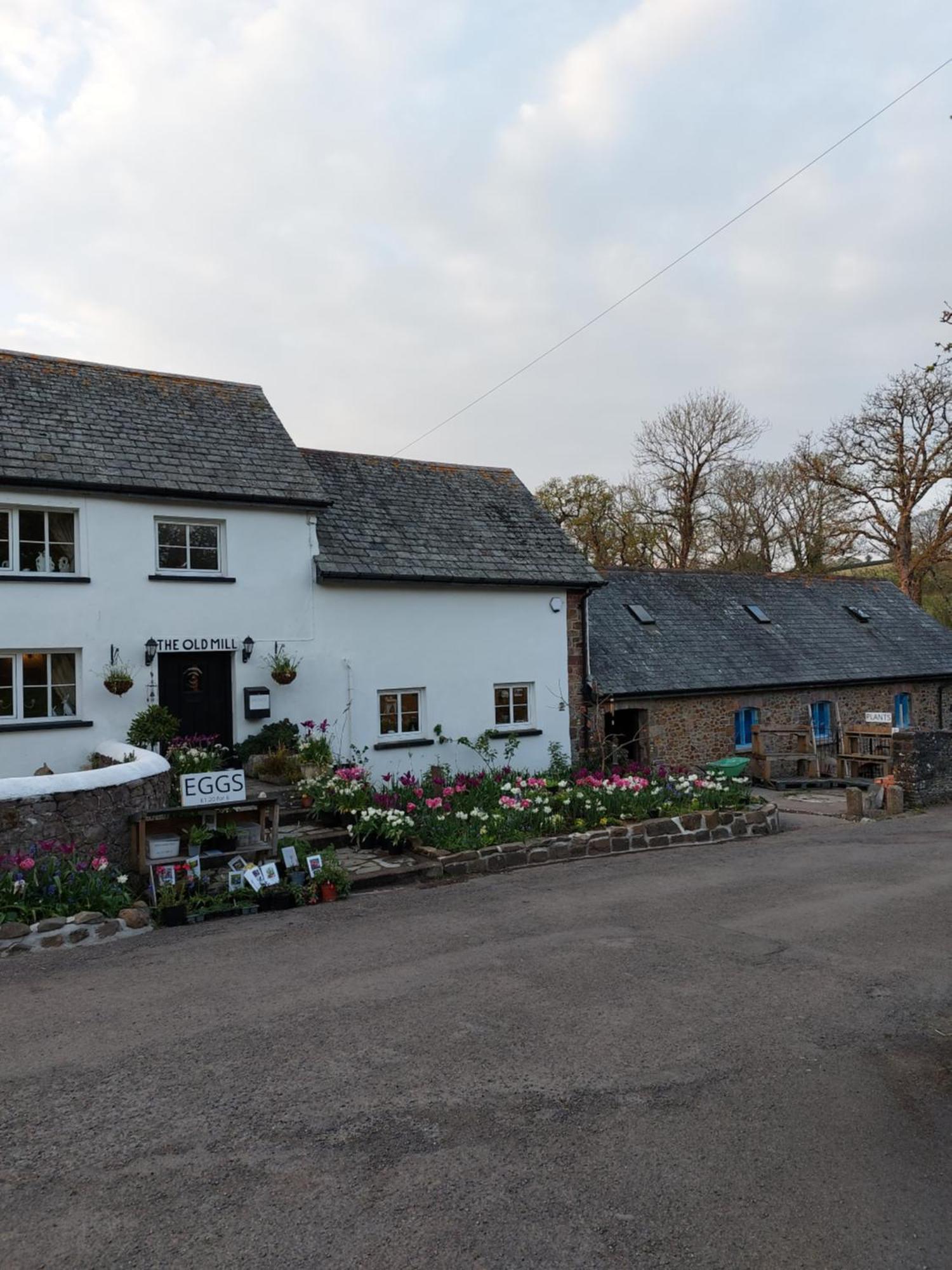 The Millers Cottage Okehampton Exteriér fotografie