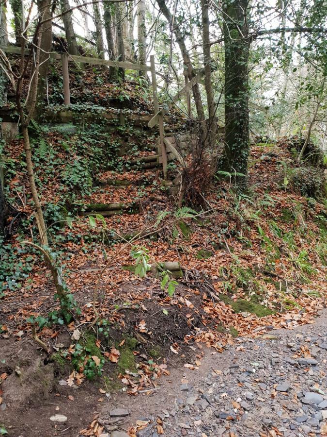 The Millers Cottage Okehampton Exteriér fotografie